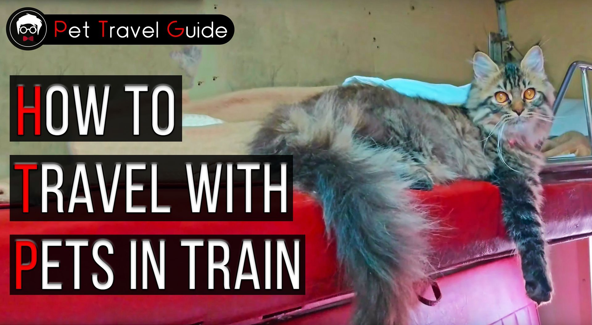how to travel with pet in indian railways